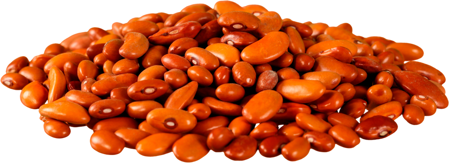 Beans  Isolated